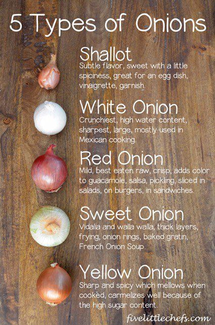 Common questions and answers to onions. #kidscooking #cookingschool Types Of Onions, Chef Boyardee, Cooking 101, Mexican Cooking, Food Charts, Food Info, Think Food, Cooking Basics, Food Facts