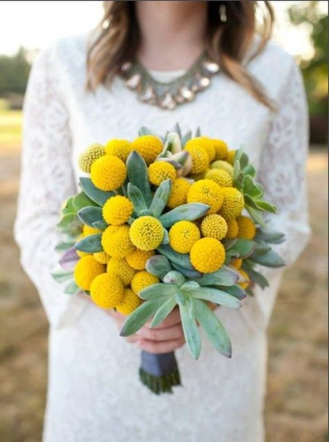 Bouquet Succulent, Billy Balls, Billy Buttons, Succulent Bouquet, Rustic Wedding Bouquet, Spring Wedding Flowers, Diy Wedding Flowers, Trendy Flowers, Flower Ball