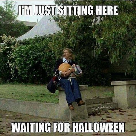 I'm just sitting here waiting for Halloween #halloween #autumn #fall #october Funny Halloween Pictures, Halloween Meme, Halloween Memes, Bloc Party, Halloween Queen, Film Horror, Halloween 2015, Halloween 2016, Orange Pumpkin