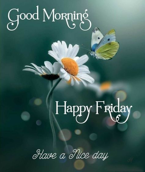 Happy Friday Pictures, Happy Friday Morning, Friday Wishes, Morning Friday, Friday Images, Good Morning My Friend, Good Evening Greetings, Good Morning Happy Friday, Good Morning Friday