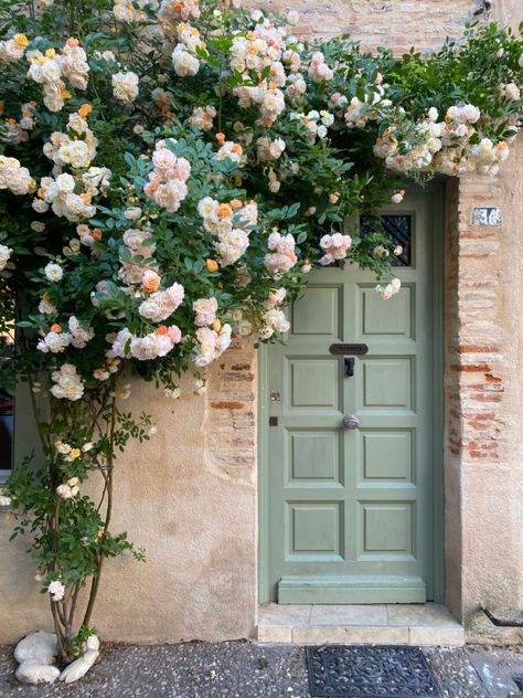 My rose in full bloom Climbing Rose Front Door, Climbing Roses On House, Small Rose Garden, Funky Wall Paint, Funky Wall Paint Ideas, Front Yard Halloween, Painting Ideas Pumpkin, Thanksgiving Table Setup, Small Theatre Room Ideas