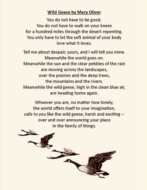 Mary Oliver - Wild Geese Mary Oliver Poems Wild Geese, Wild Geese By Mary Oliver, Wild Geese Poem, Wild Geese Mary Oliver Tattoo, Wild Goose, Wild Geese, Geese Tattoo, Mary Oliver Tattoo, Wild Geese Mary Oliver