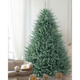 Unlit Christmas Trees, Full Christmas Tree, Colorado Blue Spruce, 6ft Christmas Tree, Christmas Trees Ideas, Spruce Christmas Tree, Christmas Easy, Fir Christmas Tree, Pre Lit Christmas Tree