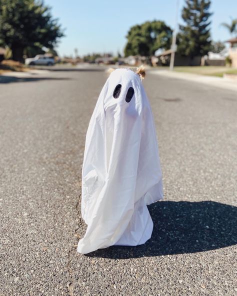 Ghost Sheet Photoshoot Kids, Toddler Ghost Photoshoot, Toddler Halloween Pictures Photo Ideas, Baby Ghost Photoshoot, Kids Ghost Photoshoot, Ghost Photoshoot Kids, Toddler Halloween Pictures, Toddler Ghost Costume Girl, Toddler Halloween Photoshoot