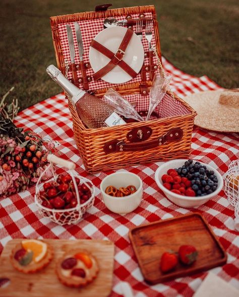 Gingham Aesthetic, Red Picnic, Charcuterie Boxes, Picnic Setup, Picnic Engagement, Picnic Packing, Picnic Inspiration, Cute Birthday Pictures, Picnic Birthday