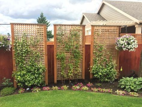 Privacy Fence Landscaping, Privacy Fence Designs, Privacy Landscaping, Garden Privacy, Backyard Privacy, Easy Backyard, Back Yard Ideas, Fence Landscaping, Have Inspiration