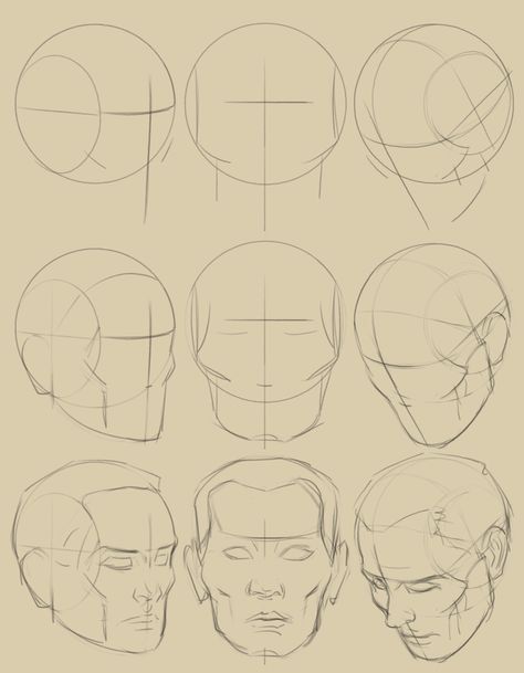 얼굴 드로잉, Drawing Tutorial Face, Head And Shoulders, 얼굴 그리기, Drawing Heads, Human Anatomy Art, Anatomy Sketches, Drawing Studies, Face Sketch