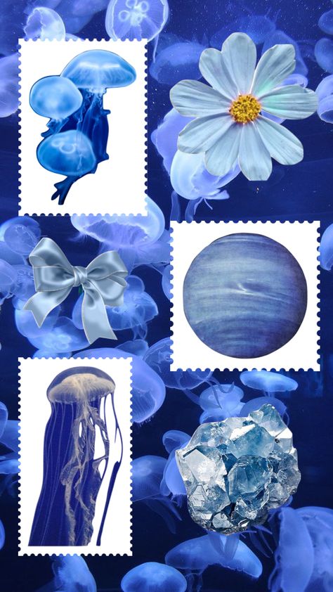 #blue#moodboard#aesthetic#jellyfish Jelly Fish Mood Board, Blue Jellyfish Aesthetic, Jellyfish Aethestic, Jellyfish Blue Aesthetic, Ocean Aesthetic Jellyfish, Fashion Design Portfolio, Jellyfish, Portfolio Design, Mood Boards