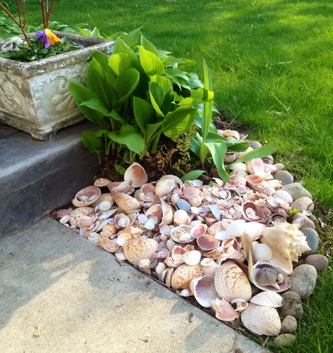 I was wondering what to do with all the seashells we had collected from our trips to the ocean. I live in the Midwest so it's fun to put them in my garden and look at them, and remember. Outdoor Beach Decor, Beach House Landscaping, Coastal Landscaping, Seaside Garden, Backyard Beach, Coastal Gardens, Front House Landscaping, Beach Gardens, House Landscape