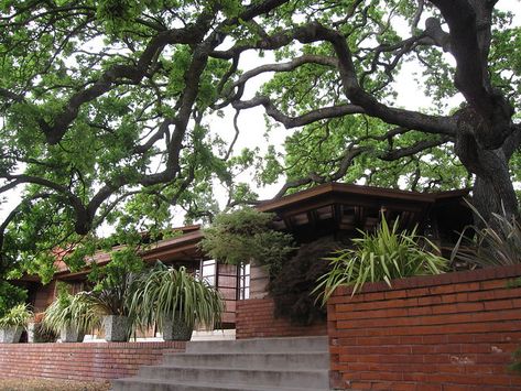 Hanna House | Designed by Frank Lloyd Wright in 1936 for Sta… | Flickr Hanna House, Modern Ranch, Bedroom Decor Cozy, Frank Lloyd, Frank Lloyd Wright, Lloyd Wright, House Tour, Art And Architecture, Violet