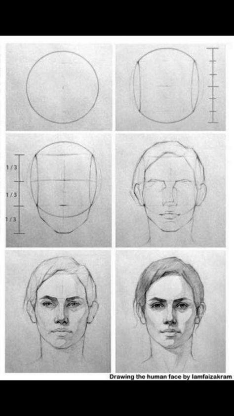 Realistic Face Reference, Anatomy Sketches Face, Portrait Loomis Method, Realistic Head Drawing Reference, Realistic Head Drawing, Face Proportions Drawing Step By Step, Face Ratio Drawing, Loomis Portrait, Front Face Sketch