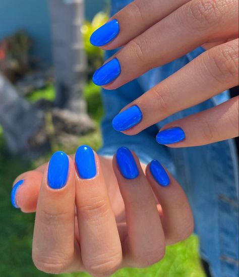 Spring Oval Nails 2024, Solid Nail Color Designs, Short Bright Blue Nails, Spring Nail Inspo Solid Color, Spring Nail Inspo 2024 Solid Color, April Nails Solid Color, Cute Sns Nail Ideas For Summer, Spring Nails 2024 Trends Solid Color, Summer Nail Ideas Solid Color