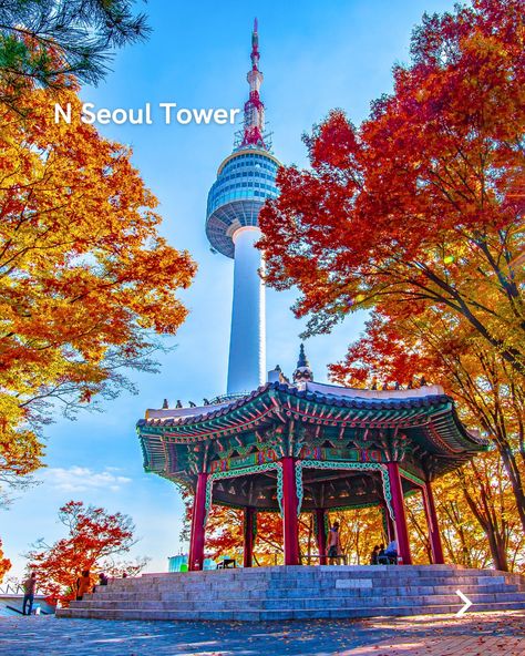 Ready to explore the vibrant city of Seoul? Whether you're into history, culture, or modern wonders, here are some of the best tourist attractions you won’t want to miss 👉 - - - #seoul #seoulkorea #seoultravel #seoultrip #seoul_korea #southkorea #visitseoul #southkoreatravel #southkoreatrip South Korea Tourist Attraction, Korea Tourist Attractions, Visit Seoul, Seoul Travel, South Korea Travel, Seoul Korea, Tourist Destinations, Tourist Attraction, To Miss