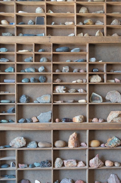 12 Beautiful Rock Collection Display Ideas | DetectingDaily Rock Collection Display Ideas, Metaphysical Business, Rock Collection Storage, Museum Exposition, Collection Display Ideas, Rock Collection Box, Fossil Display, Object Collection, Organization Crafts