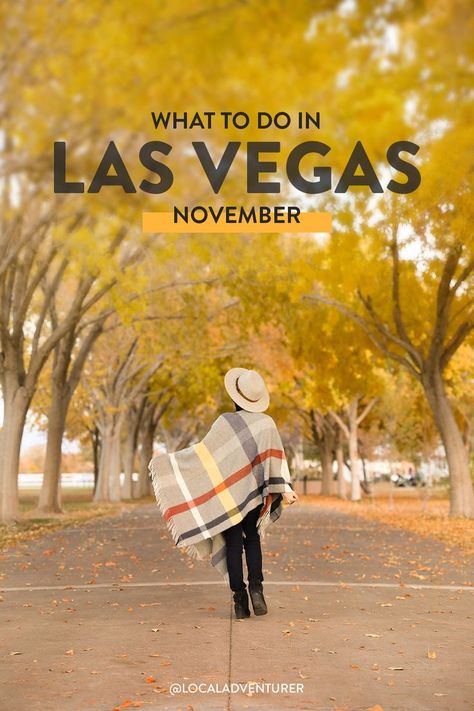 What to Do in Las Vegas November over photo of girl walking down tree lined path with fall foliage in Floyd Lamb Park Las Vegas In November, Vegas In November, Things To Do In November, Lake Tahoe Nevada, Great Basin National Park, Valley Of Fire State Park, Visit Las Vegas, Nevada Travel, Vegas Shows