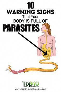 Find out about the warning signs of intestinal parasites, such as digestive issues, weakness, anemia, appetite gain, and more. Bloated All The Time, Intestinal Parasites, Summer Health, Flatter Stomach, Blood Sugar Diet, Skin Natural Remedies, Digestive Issues, Health And Fitness Magazine, Healthy Diet Tips