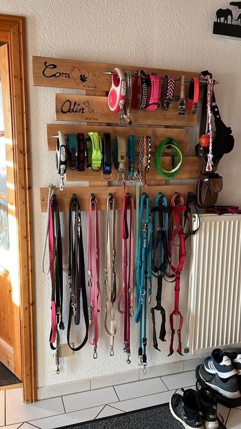 Dog Collar Charging Station, Dog Gear Organization, Organize Dog Stuff, Dog Stuff Organization, Kennel Room, Dog Supplies Storage, Ikea Dog, Dog Supplies Organization, Dog Training Facility