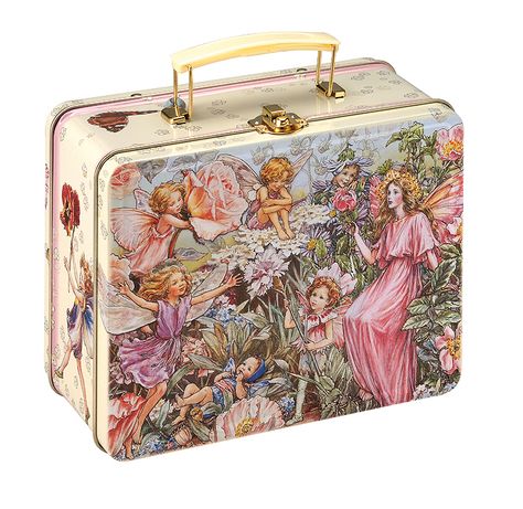 Flower Fairies tin lunch box Fairy Lunch, Tin Lunch Boxes, Vintage Lunch Boxes, School Lunch Box, Metal Lunch Box, Tin Metal, Mini 8, Flower Fairies, Gifts Baby