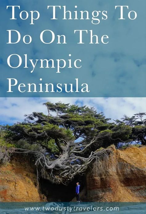 Olympic Peninsula Pinterest Image - Two Dusty Travelers - Things to Do on the Olympic Peninsula Olympic Peninsula Road Trip, Pnw Trip, Olympic Peninsula Washington, Mt Rainer, Olympic National Forest, Famous Trees, Olympic National Park Washington, Quick Weekend Getaways, Washington State Travel