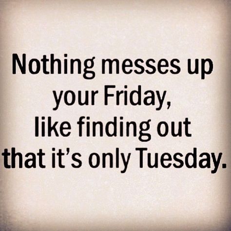 Tuesday Quotes, Tuesday Humor, Weekday Quotes, Witty Quotes, Morning Humor, Work Humor, Work Quotes, Insurance Quotes, Sarcastic Quotes