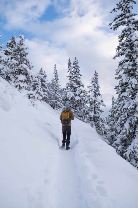 If you’re planning on visiting Banff in February don’t come dressed in shorts and t-shirt. Banff in February is a wonderful, but chilly time to visit. This is Alberta after all! There are so many wonderful things to do in ... Read moreVisiting Banff in February? Here are 10 Helpful Things to Know and Do Things To Do In Banff, Trail Dog, Winter Hike, Johnston Canyon, Bear Spray, Helpful Things, Cascade Mountains, Ice Climbing, Warm Weather Outfits