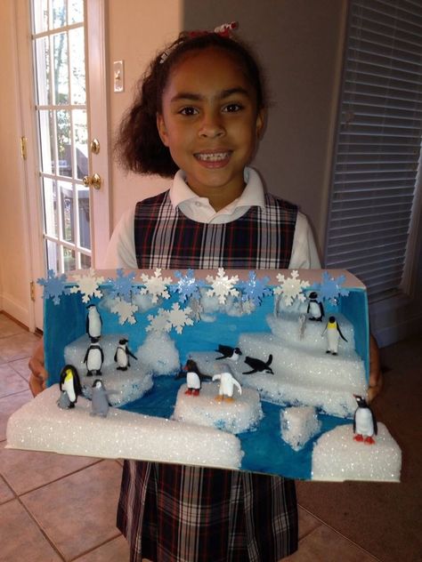 Penguin Diarama Penguins Project, Arctic Habitat, Biomes Project, Diorama Kids, Diarama Ideas, Ecosystems Projects, Habitats Projects, Urs Polar, Polar Animals