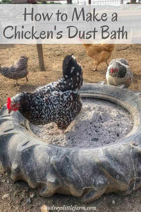 Dust Bath For Chickens, Reban Ayam, Cute Chicken Coops, Chicken Coop Garden, Backyard Chicken Coop Plans, Diy Chicken Coop Plans, Chicken Coop Run, Dust Bath, Backyard Chicken Farming