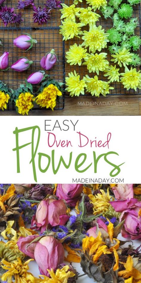 Dry out those beautiful floral #bouquets fast using low heat on your oven, How to dry flowers in the oven, oven dry flowers, drying roses in the oven, how to quickly dry flowers, #driedflowers #potpourri How To Dry Out Flowers, Potpourri Diy, Diy Dried Flowers, How To Dry Flowers, Pressed Flowers Diy, Dried Flowers Diy, Drying Roses, Pressed Flower Crafts, Flowers Shop