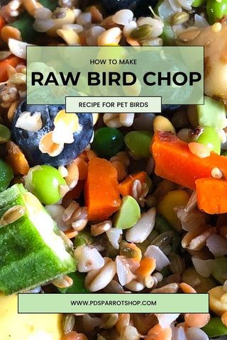 Raw Bird Chop Recipe – PDS Parrot Shop Parrot Chop Recipes Bird Food, Bird Chop Recipes, Parrot Chop Recipes, Parrot Chop, Homemade Bird Toys, Parrot Diet, Quaker Parrot, Bird Ideas, Maui Wowie