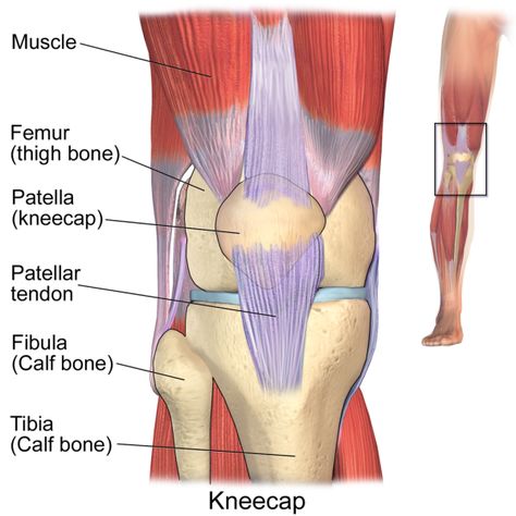 Acl Reconstruction Surgery, Patellofemoral Pain Syndrome, Bad Knee Workout, Hip Problems, Bad Knees, Knee Exercises, Knee Pain Relief, Knee Surgery, Joints Pain Relief