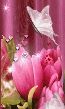 Gif pour le plaisir des yeux (196) Butterfly Gif, Beau Gif, Art Papillon, Butterfly Pictures, Glitter Graphics, Gif Pictures, Beautiful Gif, Pink Tulips, Butterfly Wallpaper