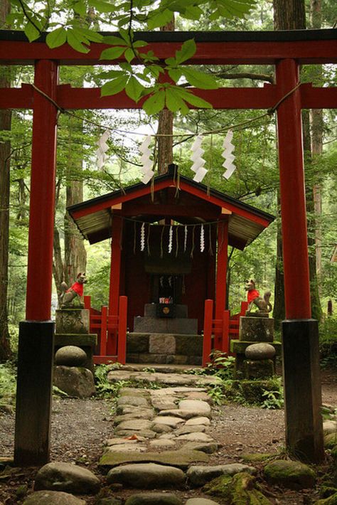 small fox shrine nikko -- if you ask Japanese people, many will tell you that Inari can become a fox. This view is discouraged by most Shinto priests who say Inari has white foxes (kitsune) that act as her messengers but isn't a fox herself. Either way, foxes get a great deal of respect in Japan.   There's often a small shrine to foxes at Inari Shrines. People leave gifts of fried tofu at these shrines. It's thought that this is their favorite food. Kitsune Shrine, White Foxes, Shrine Japanese, Inari Temple, Temple Japanese, Fox Island Japan, Forest Shrine, Fox Demon, Japanese Shrine Photography