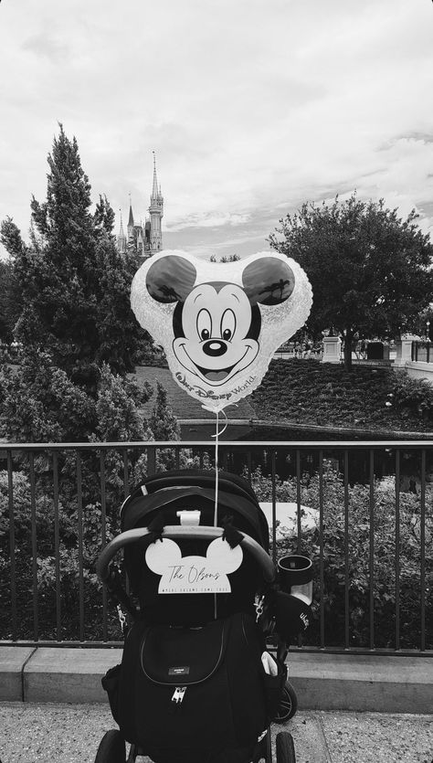 Disney Vacation Surprise, Disney Stroller Tags, Disney Trip Reveal, Disney Stroller, Stroller Tag, Mickey Mouse Balloon, Disney World Aesthetic, Mickey Hat, Disney Surprise