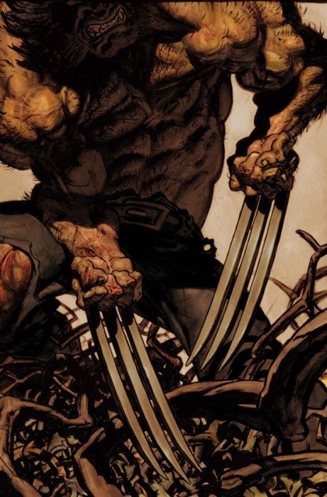 Claws Wolverine Artwork, Wolverine 1000, Simon Bisley, Wolverine Comic, Wolverine Art, Wolverine Marvel, Bd Comics, Uncanny X-men, Marvel Comics Art