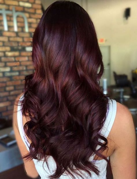 Long Curly Mahogany Hair                                                                                                                                                                                 More Pelo Color Borgoña, Pelo Color Vino, Mahogany Brown Hair, Red Brown Hair Color, Wine Hair Color, Balayage Straight Hair, Hair Color Mahogany, Mahogany Hair, Hair African