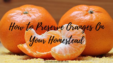 Preserve Oranges, Home Skills, Homestead Kitchen, Acre Homestead, Long Term Food Storage, Dehydrated Fruit, Homesteading Skills, Fruit Preserves, Emergency Food