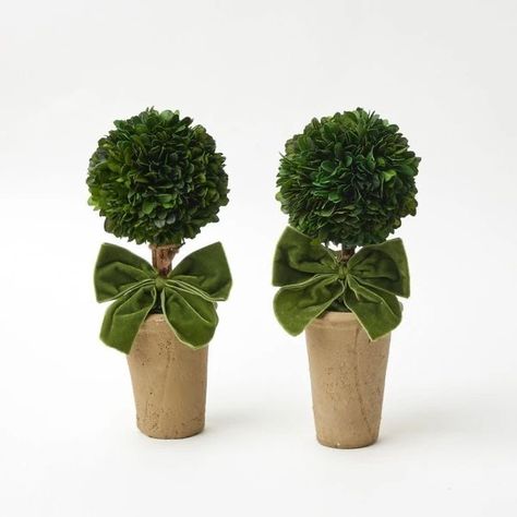 Preserved Boxwood Topiary, Topiary Balls, Potted Boxwood, Boxwood Tree, Mrs Alice, Boxwood Balls, Preserved Boxwood, Green Tablecloth, Boxwood Topiary