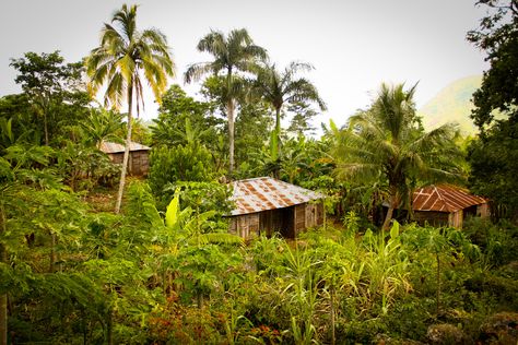 Houses on the Mountain- Milot, Haiti Haiti Mountains, Thatched House, The Citadel, Poor Countries, Small World, Haiti, The Mountain, Oasis, Cabin