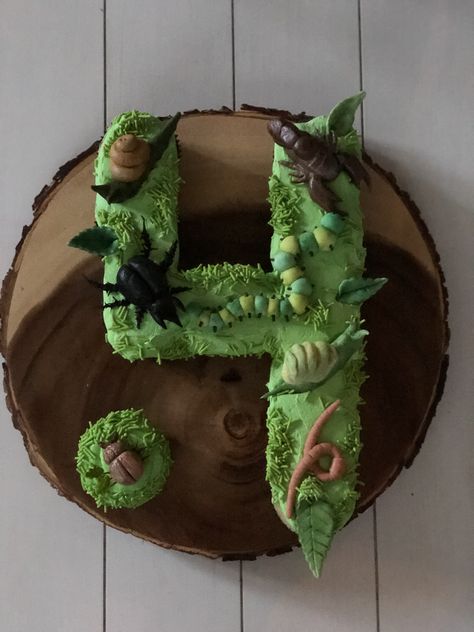 Homemade bug cake! Made by yours truly for Mr. Grey Bug! Insect Cake, Bug Party, Bug Birthday Party, Insect Birthday Cake, Insect Cake Ideas, Bugs Birthday Cake, Insects Cake Ideas, Bug Party Cake, Bug Theme Birthday Cake