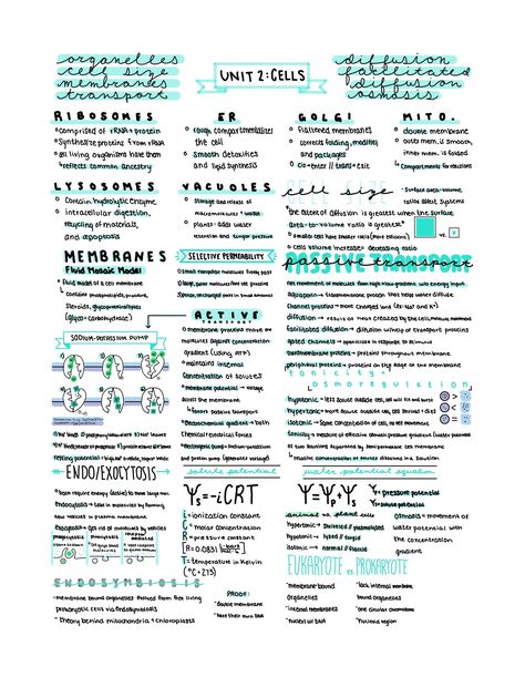 Ap Biology Unit 1 Notes, Abc Of Biology, Ap Biology Notes High Schools, Ap Bio Unit 2 Notes, Biomedical Science Notes, Ap Bio Unit 1, Ap Biology Notes Aesthetic, Neet Exam Notes Biology, Ap Bio Notes