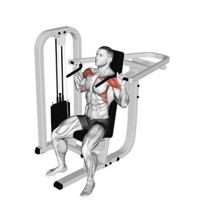 Shoulder Press Machine Best Gym Machines, Chest Routine, Shoulder Press Machine, Gym Back Workout, Free Workout Plans, Best Shoulder Workout, Shoulder Training, Push Day, Shoulder Exercises