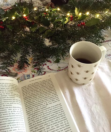 Book Christmas Aesthetic, Winter Book Aesthetic, Christmas Books Aesthetic, Christmas Reading Aesthetic, Winter Reading Aesthetic, Winter Studying, Quiet Christmas, Reading Aesthetics, December Reading