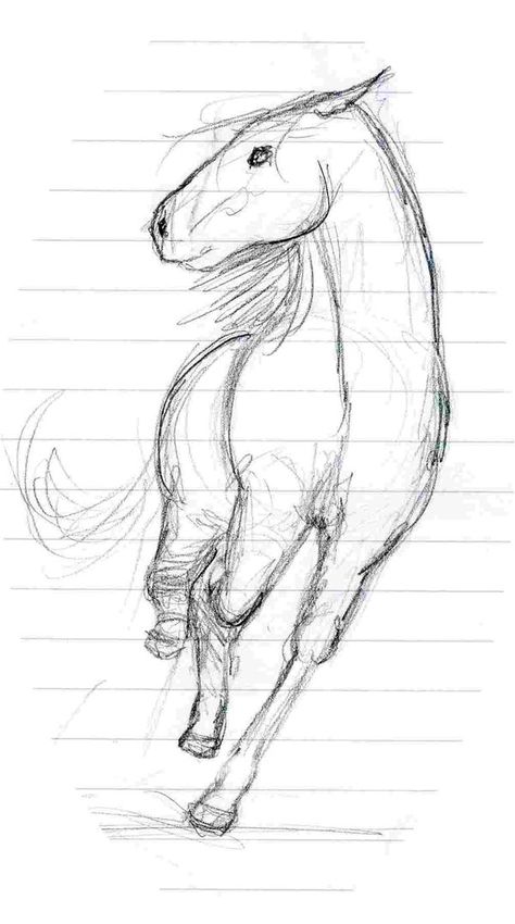 Horse Drawing Front View, Horse Running Front View, Running Front View, Rdr2 Poster, Horse Running Drawing, Horse Draw, Horse Sketches, Horses Drawing, Horse Drawing Tutorial