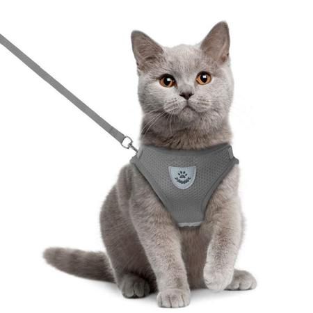 Accessoires et nourriture pour chat · Croquettes · Boîtes et sachets · Aliments médicalisés & spécifiques · Friandises · Litière · Arbre à chat & griffoir. accessoire chat pas cher accessoires chat appartement animalerie en ligne zooplus chien zoomalia accessoires pour chaton accessoires chat design panier pour chat Kitten Clothes, Reflective Dog Harness, Walking Harness, Small Dog Harness, Puppy Harness, Mini Poodles, Pet Kitten, Cat Harness, Curious Cat