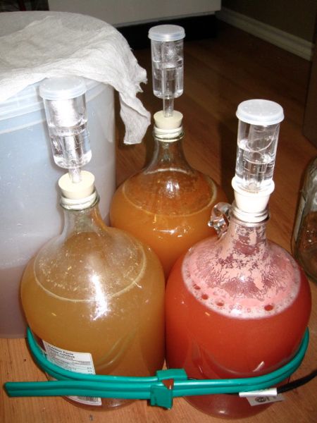 Mead Making Muscadine Wine, How To Make Mead, Mead Recipe, Crab Apples, Cider Press, Pear Cider, Cider House, Cider Making, Foods And Drinks