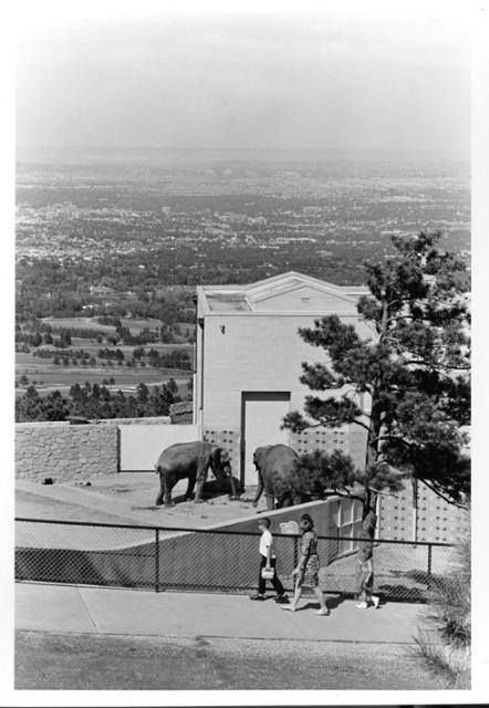 Cheyenne Mtn Zoo ~ Colorado Springs Colorado ~ 1965 Old Colorado City, Outdoor Amphitheater, Grandma Journal, Colorado Scenery, Denver History, Red Rocks Amphitheater, Always Take The Scenic Route, Colorado History, Cheyenne Mountain