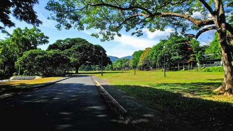 Campus tour #freedompark #uplb #Elbi Uplb Campus, Beautiful Philippines, Potter Wallpaper, Harry Potter Wallpaper, Philippines, Golf Courses, Harry Potter, Country Roads