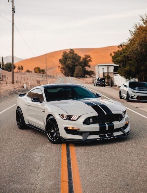 Mustang Car Aesthetic, Roadster Car, Tokyo Drift Cars, Mustang Car, Car Quotes, Shelby Mustang, Ford Mustang Car, Aesthetic Cool, Car Organization