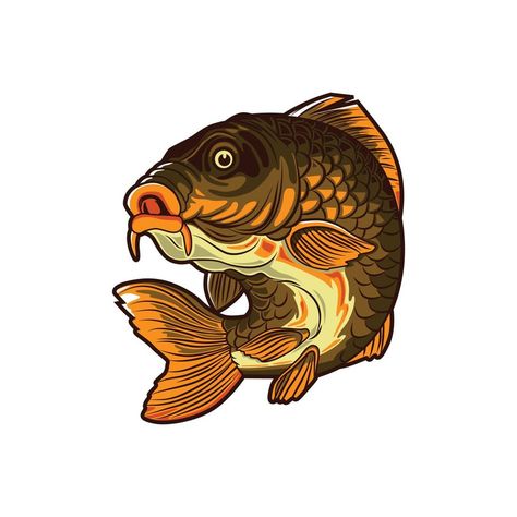 Carp Fish, Fish Vector, Fish Illustration, Fish Logo, Vector Illustration Design, Carp Fishing, Fish Design, Fish Art, Carp