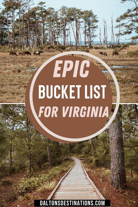 Virginia Bucket List Things To Do, Must See Places In Virginia, Things To Do Virginia, Best Places To Visit In Virginia, Virginia Travel Places To Visit, Virginia Bucket List, Day Trips In Virginia, Fall Places, Virginia Road Trip